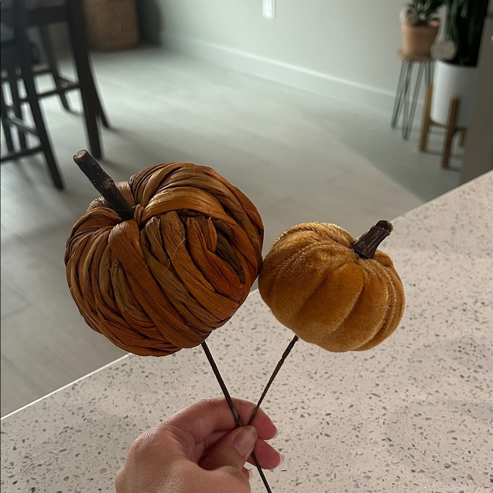 Orange pumpkin plant decor
